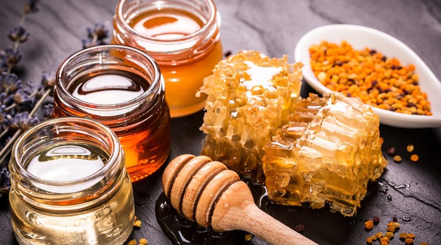 Ελληνική ανακάλυψη για το DNA στο μέλι και πώς εξαπλώνονται τα μικρόβια