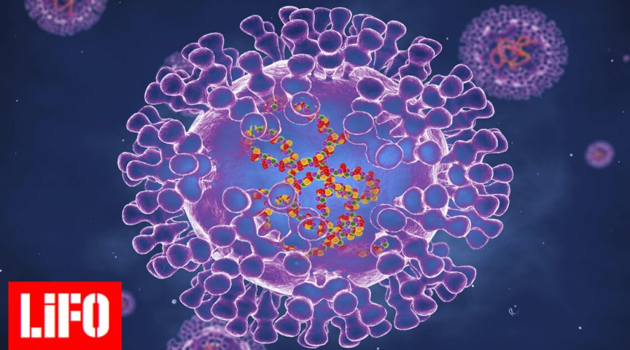 Γιατί ο ιός της ευλογιάς των πιθήκων προκαλεί ανησυχία για τη δημόσια υγεία; – Όλα όσα πρέπει να γνωρίζουμε
