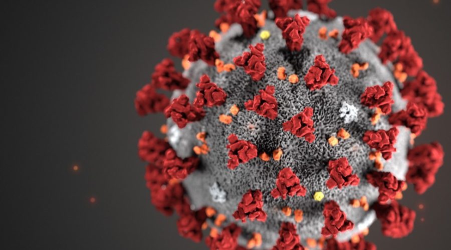 SARS-CoV-2: ο ιός με τα πολλά… πρόσωπα | In.gr