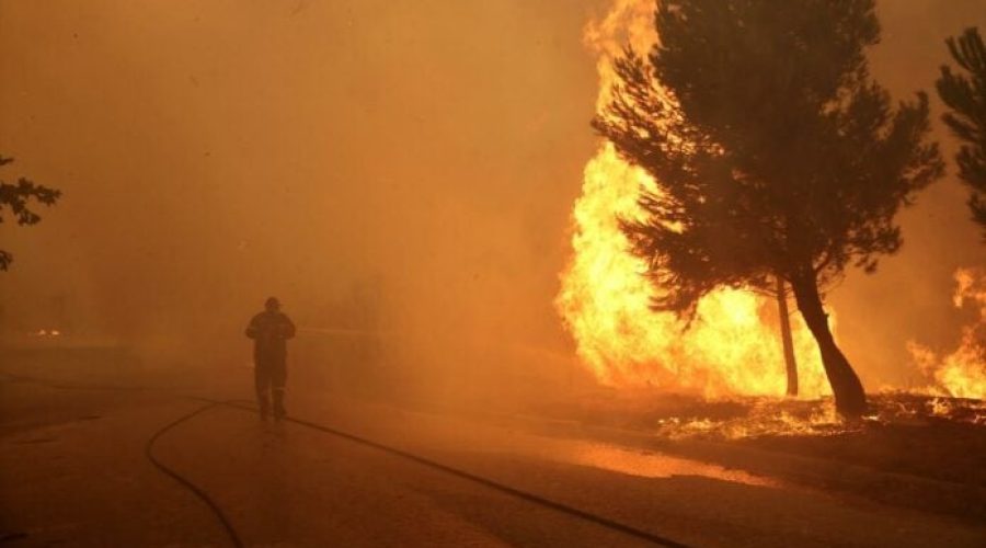 Πυρκαγιά στο δάσος της Κέρης – Μεγάλη επιχείρηση της Πυροσβεστικής